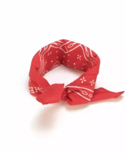 Lucchese-inc Western Bandana :: Red Other Accessories