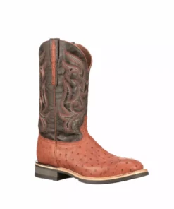 Lucchese-inc Rowdy Ostrich :: Cognac + Brown Men