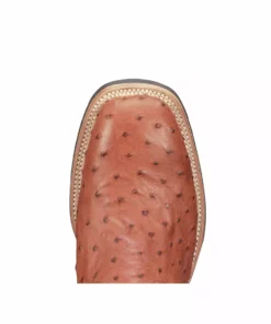 Lucchese-inc Rowdy Ostrich :: Cognac + Brown Men
