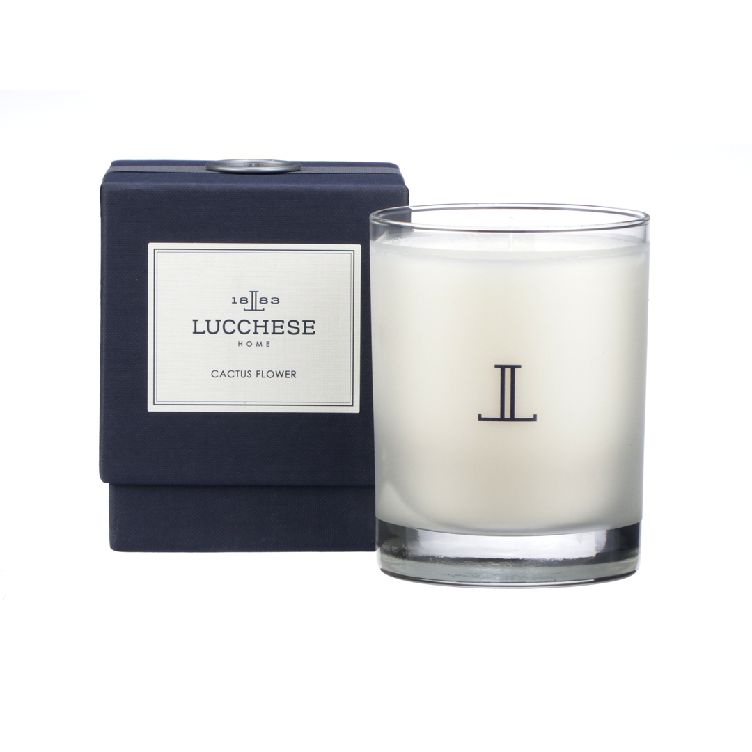 Best reviews of โค๏ธ Lucchesse-inc Other Accessories Cactus Flower Candle :: White ๐ 3 Lucchesse-inc Other Accessories Cactus Flower Candle :: White