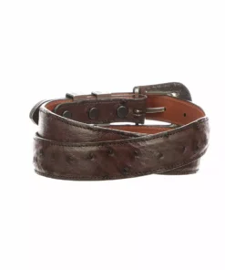 Lucchese-inc Full Quill Ostrich Tapered :: Sienna