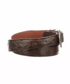 Lucchese-inc Full Quill Ostrich Tapered :: Sienna