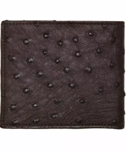 Lucchese-inc Wallets Hipster Wallet – Ostrich :: Sienna