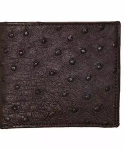 Lucchese-inc Wallets Hipster Wallet – Ostrich :: Sienna