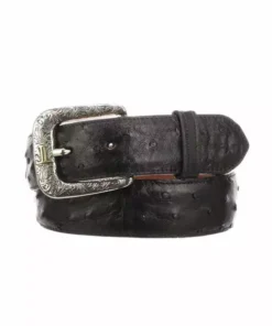 Lucchese-inc Full Quill Ostrich :: Black Belts