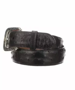 Lucchese-inc Full Quill Ostrich :: Black Belts