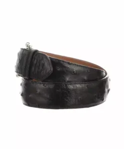 Lucchese-inc Full Quill Ostrich :: Black Belts