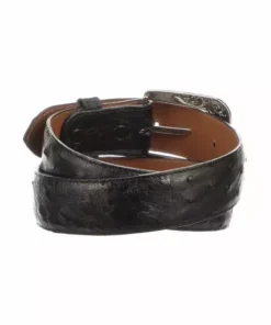 Lucchese-inc Full Quill Ostrich :: Black Belts