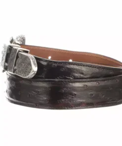 Lucchese-inc Full Quill Ostrich Tapered :: Black Cherry Belts