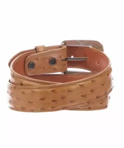 Lucchese-inc Full Quill Ostrich :: Cognac Belts