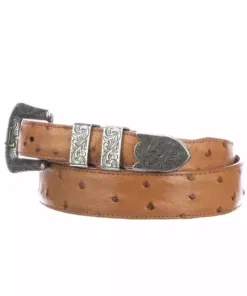 Lucchese-inc Belts Full Quill Ostrich Tapered :: Cognac