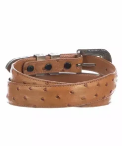 Lucchese-inc Belts Full Quill Ostrich Tapered :: Cognac