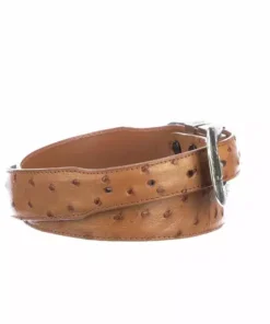 Lucchese-inc Belts Full Quill Ostrich Tapered :: Cognac
