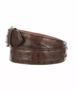 Lucchese-inc Belts Full Quill Ostrich :: Sienna