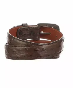 Lucchese-inc Belts Full Quill Ostrich :: Sienna
