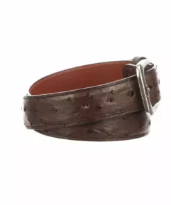 Lucchese-inc Belts Full Quill Ostrich :: Sienna