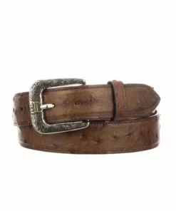 Lucchese-inc Belts Full Quill Ostrich :: Barnwood