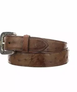 Lucchese-inc Belts Full Quill Ostrich :: Barnwood