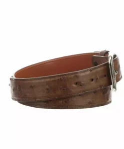 Lucchese-inc Belts Full Quill Ostrich :: Barnwood