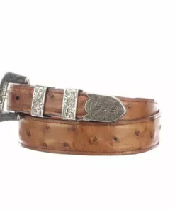 Lucchese-inc Full Quill Ostrich Tapered :: Barnwood