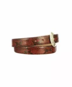 Lucchese-inc Python Belt :: Cognac